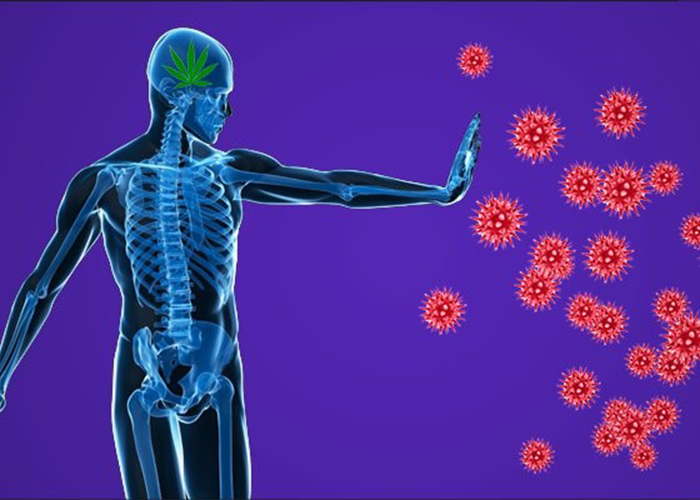 بیماری اختلال خود ایمنی