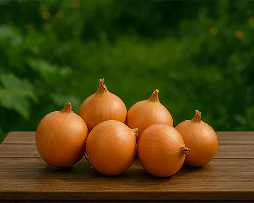 همه چیز درباره پیاز؛ خواص، انواع و کاربردها در آشپزی