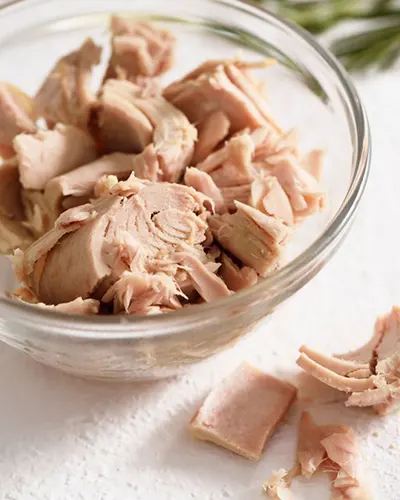 چرا باید تن ماهی را قبل از مصرف بجوشانیم؟ نکات مهم برای پیشگیری از مسمومیت