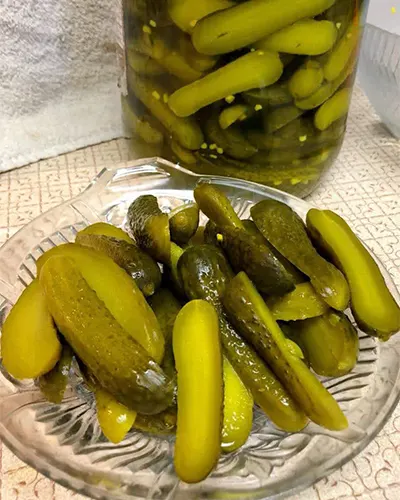 طرز تهیه خیارشور خانگی ترد و خوشمزه (رازهای طلایی جلوگیری از کپک)